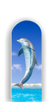 Glass Nail File: Dolphin